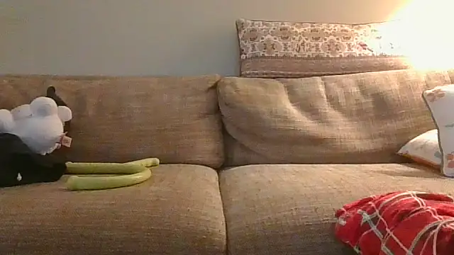 Snapshot of willtry chatting on 10-29-25, 03:05 willtry online show from 10-29-25, 03:05