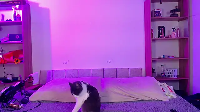 Soy mangx online show from 01-11-26, 03:02