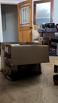 Nick-Ox online show from 02-24-26, 06:09