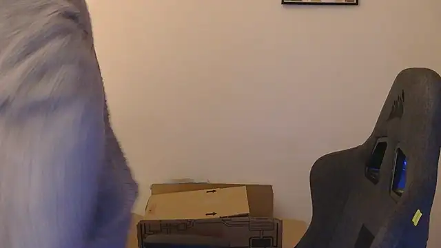 orangegummybear online show from 09-29-25, 03:57