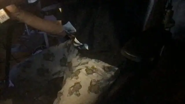 twink69Finger online show from 12-20-25, 12:30