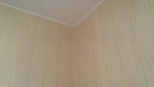  Black-Panther  online show from 11-13-25, 08:18