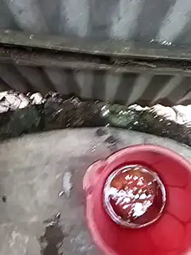 Ayush pussy fucker online show from 11-16-25, 09:36