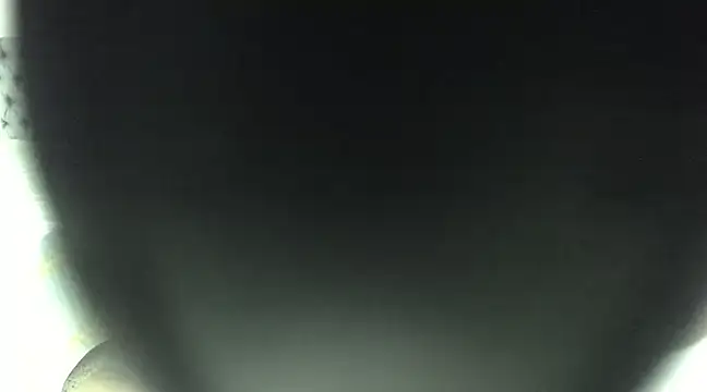 elizabeth swan18 online show from 03-17-25, 12:46