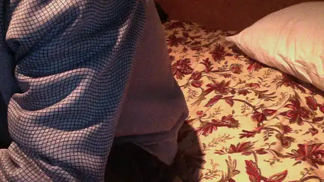 JoaoPinto0 online show from 10-30-25, 11:01