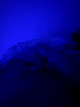 MoroccanDickkkkkk online show from 11-26-25, 10:37