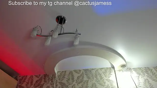 Snapshot of Cactus__James chatting on 02-21-26, 08:11 Cactus James online show from 02-21-26, 08:11