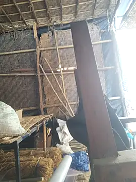 hot integer online show from 02-21-26, 02:57