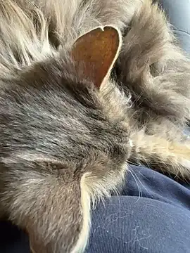 Max 965 online show from 03-30-26, 10:28