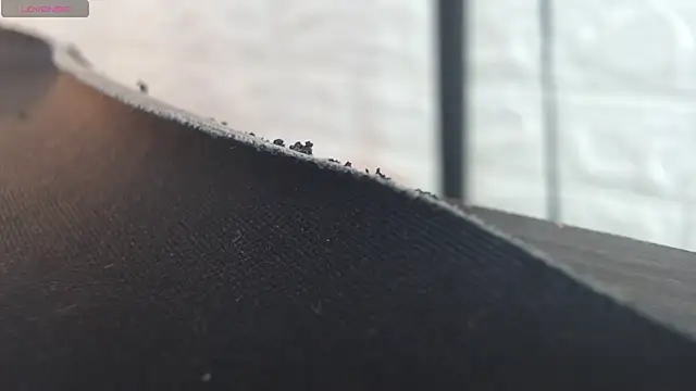 nei girl online show from 11-30-25, 11:55