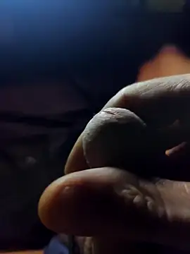 evi42 online show from 11-10-25, 09:53