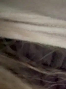 bambi lu online show from 03-18-26, 06:20