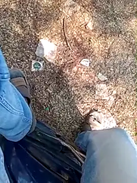 A-1PLAYBOY0 online show from 01-13-26, 06:50