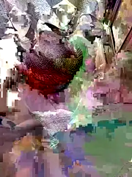 A-1PLAYBOY0 online show from 04-09-26, 04:47