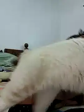 Snapshot of Saraslow chatting on 10-28-25, 02:05 Saraslow online show from 10-28-25, 02:05