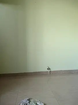 Desi Bhabi 01 online show from 11-17-25, 09:35