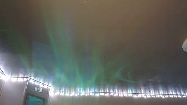 mavismable online show from 02-03-26, 06:22