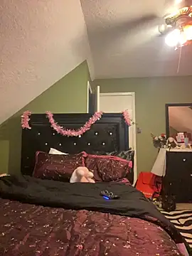 Snapshot of bankruptbabe chatting on 03-25-26, 03:50 bankruptbabe online show from 03-25-26, 03:50