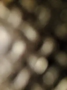 geilerschwanz556r7 online show from 09-30-25, 08:53