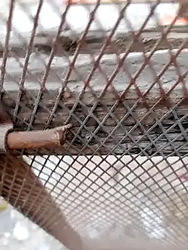 Hema0Hema online show from 02-22-26, 06:09