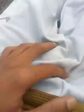 Snapshot of tiibcstuj chatting on 02-14-26, 12:16 tiibcstuj online show from 02-14-26, 12:16