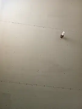 Thenaughtyboy360 online show from 01-11-26, 03:52