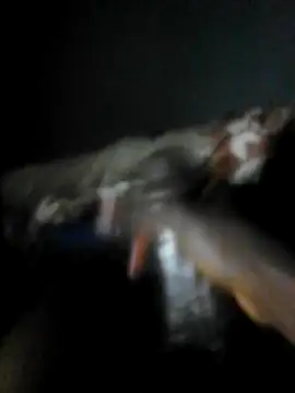 mydickbedarkandthick online show from 11-23-25, 11:15