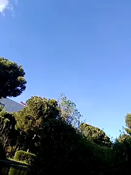 hotCOUPLEPETRA online show from 04-14-26, 05:18