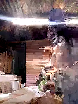 paptsimo online show from 11-05-25, 02:14