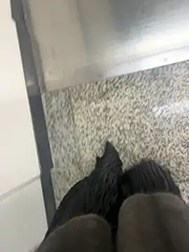 xiaoyuan01 online show from 02-06-26, 02:07