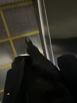 xiaoyuan01 online show from 10-31-25, 02:52