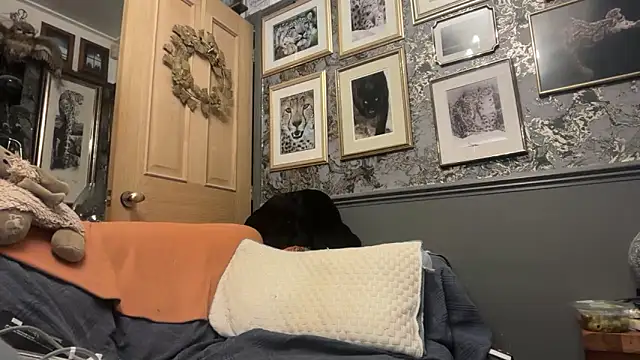 poggles online show from 02-21-26, 08:22