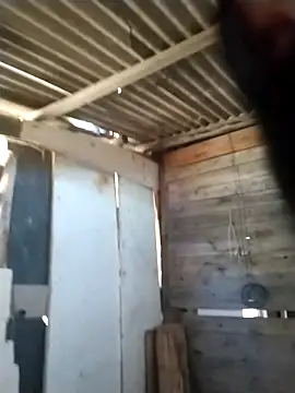 srtsara online show from 04-18-26, 11:56