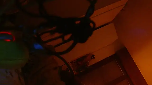 refem9 online show from 02-10-26, 02:43