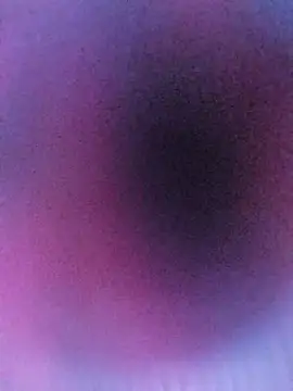 Snapshot of ranisingh1234 chatting on 09-14-25, 04:13 ranisingh1234 online show from 09-14-25, 04:13