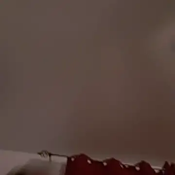 Snapshot of David1982qq chatting on 03-03-26, 09:16 David1982qq online show from 03-03-26, 09:16