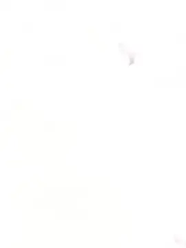 Fox Roxxan online show from 12-02-25, 03:07