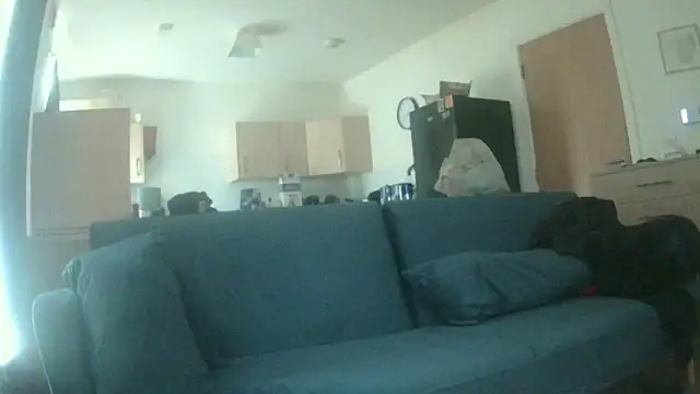 avamaxwell online show from 05-21-26, 11:29
