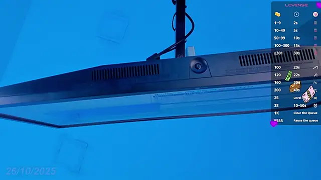 Sebax Young online show from 10-26-25, 09:26