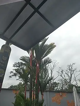 Yessica Lopezz online show from 03-05-26, 11:29