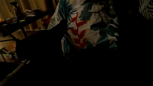 Snapshot of drieghe chatting on 10-04-25, 10:33 drieghe online show from 10-04-25, 10:33