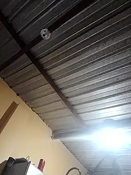 Ortiz3404 online show from 11-12-25, 04:27