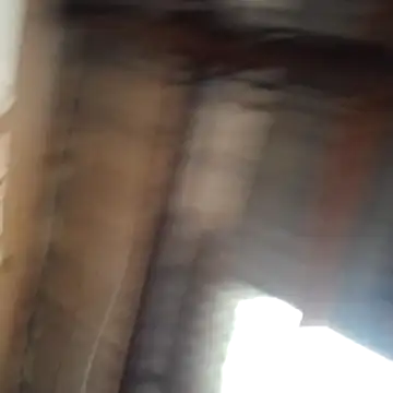 Ortiz3404 online show from 03-09-26, 05:16