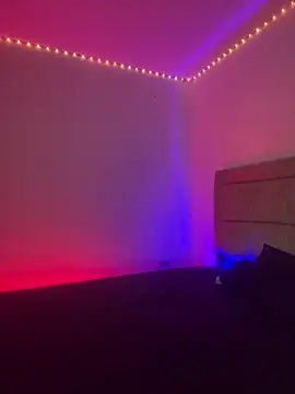 EmilyNoir1 online show from 02-08-26, 02:15