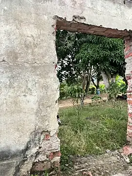 Jacksonfranco online show from 12-17-25, 10:04