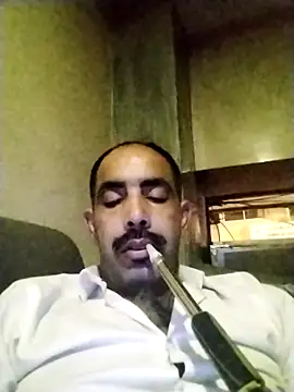 salimbasha online show from 11-11-25, 11:31