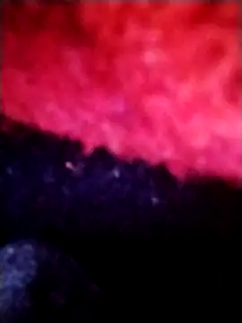 salimbasha online show from 09-28-25, 12:28