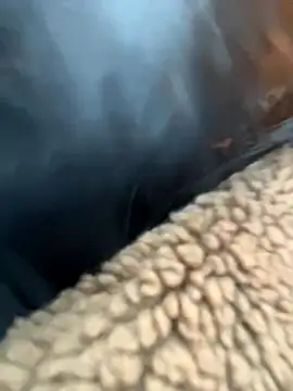 MiraReach online show from 11-09-25, 02:37