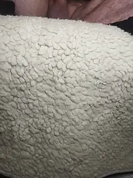 peepformance online show from 12-18-25, 07:35