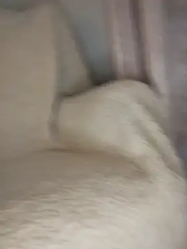 peepformance online show from 10-30-25, 09:29